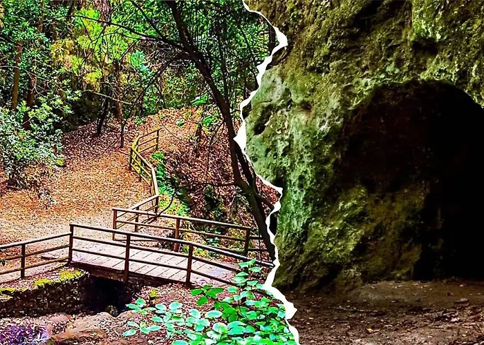 Vistamar 塔科龙特